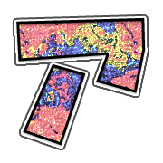 081