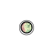 253
