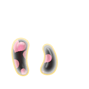 048