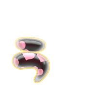 049