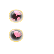 244