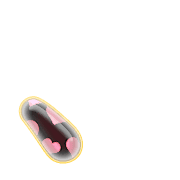 256