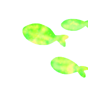 029