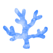 032