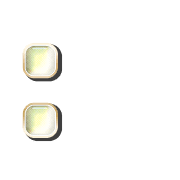 244