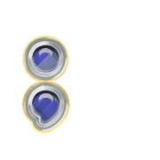 243