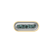 251