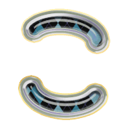 010