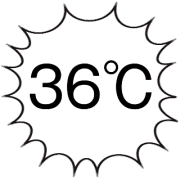 036