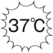 037