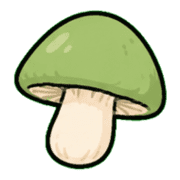 017