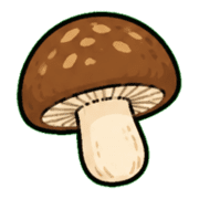 026