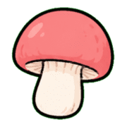 029