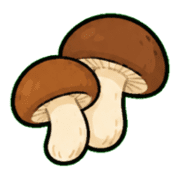 036