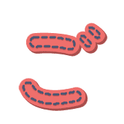 060