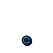 246