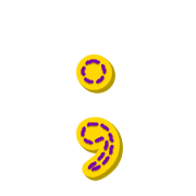 243
