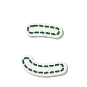 010