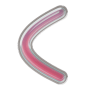 008