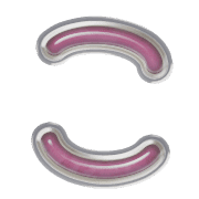 010