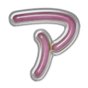 081