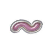 224