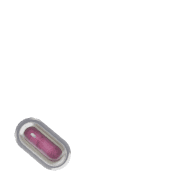 256