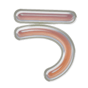 003