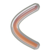 008