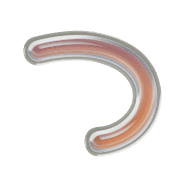 018