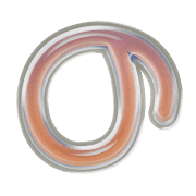025