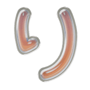 040