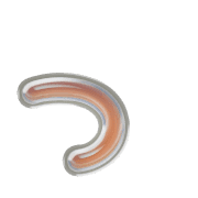 052