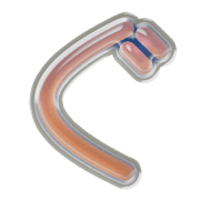 058