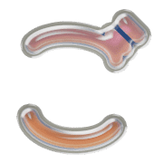 060
