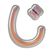 062