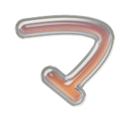 111