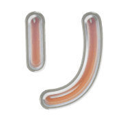 120