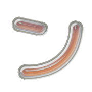 126