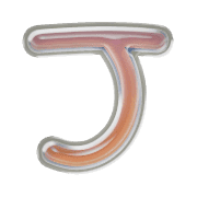 171