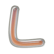 173