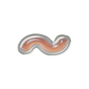 224