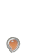 245