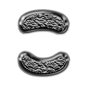 010