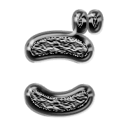 060