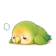 031