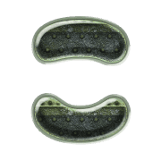 010