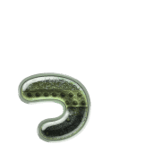 052