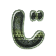 062