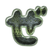 064